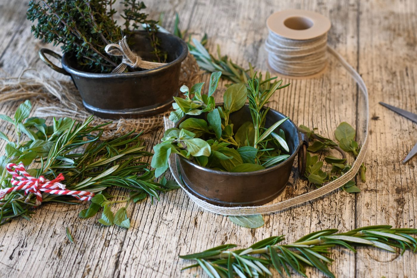 Sapori d’estate tutto l’anno: 3 modi per conservare le erbe aromatiche